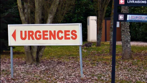 Un homme se présente aux Urgences avec un obus coincé… dans le...